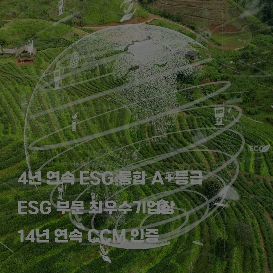 ESG 영상 콘텐츠 기획